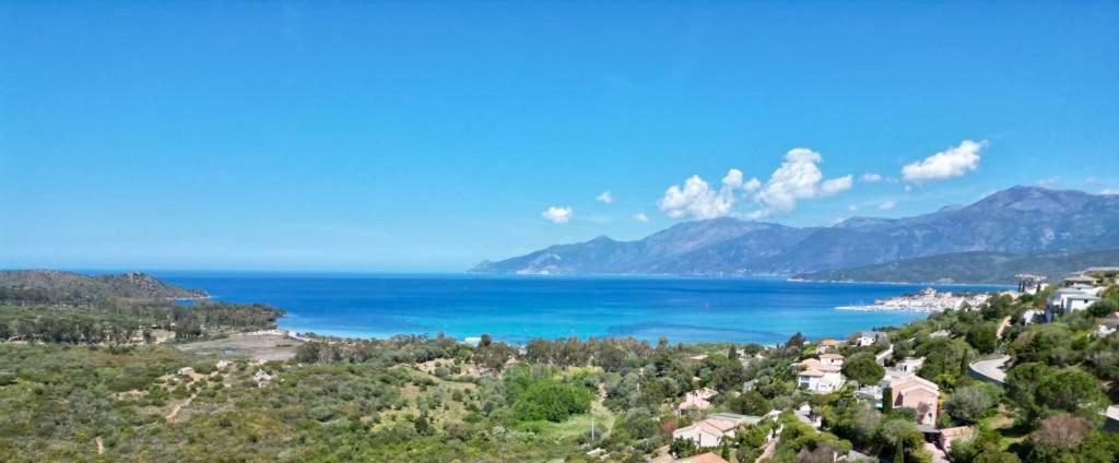 Studio, Vue Sur Mer Et Montagne Saint-Florent  Exterior foto