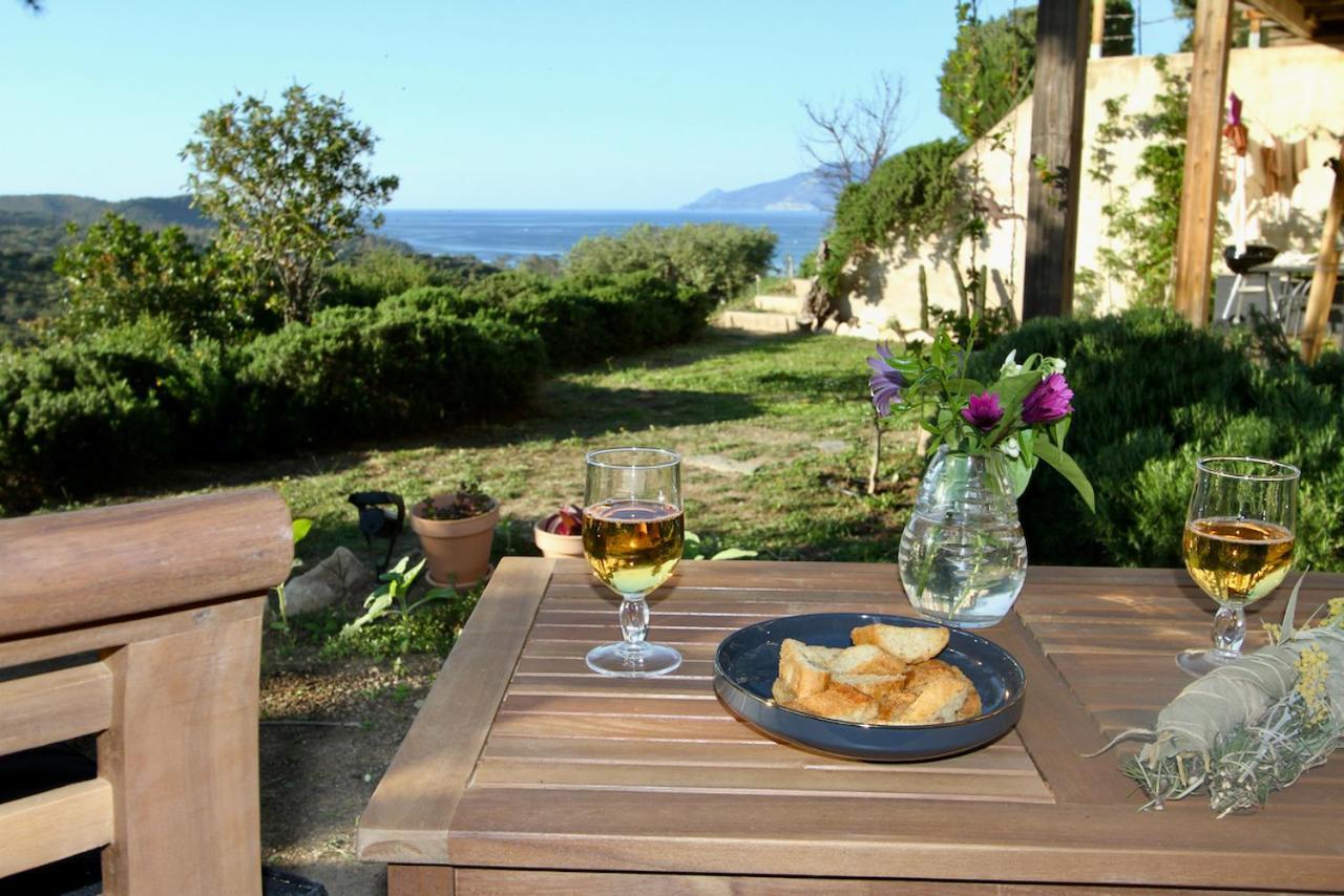 Studio, Vue Sur Mer Et Montagne Saint-Florent  Exterior foto